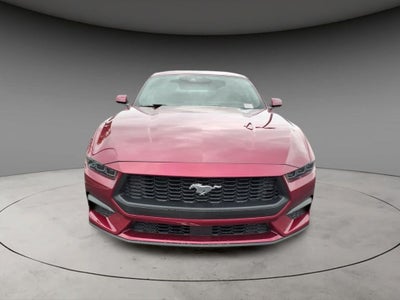 2026 Ford Mustang EcoBoost Premium