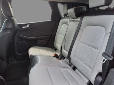 2024 Ford Escape Plug-In Hybrid Base