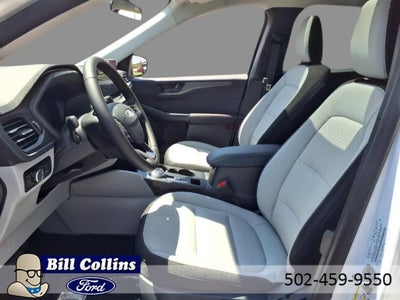 2025 Ford Escape Hybrid ST-Line