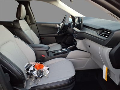 2026 Ford Escape Platinum