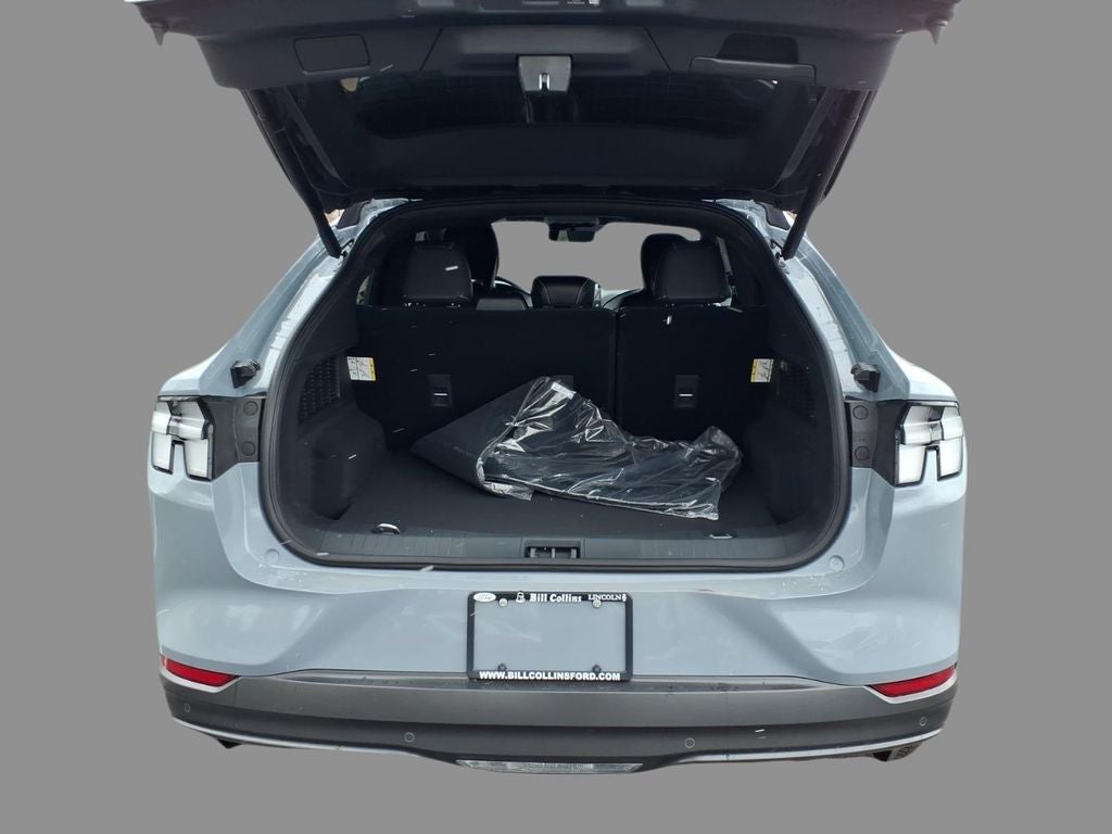 2026 Ford Mustang Mach-E GT