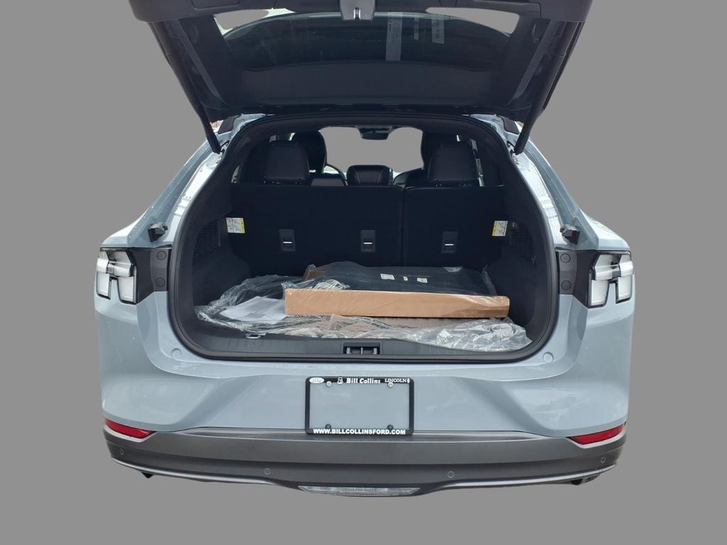 2026 Ford Mustang Mach-E GT