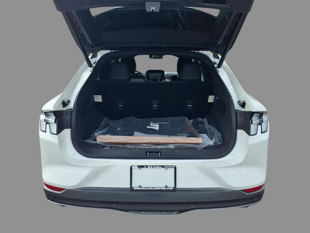 2026 Ford Mustang Mach-E GT