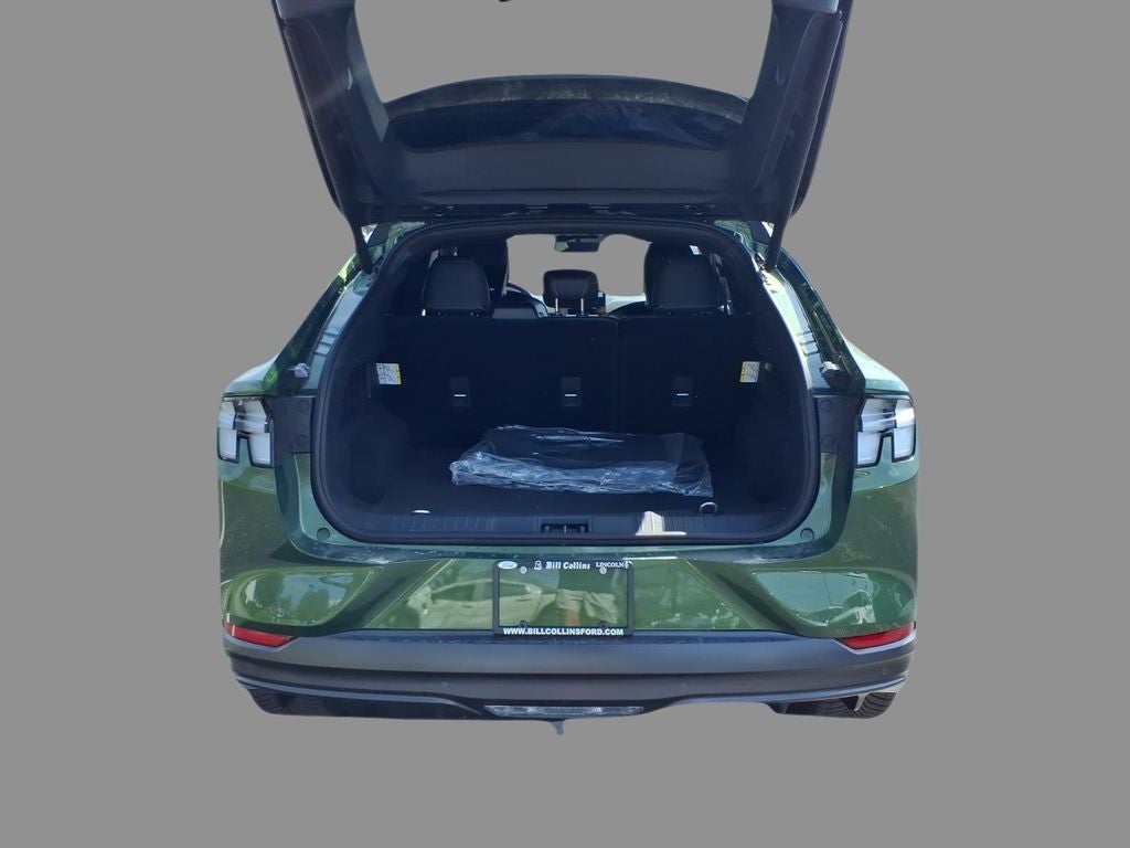 2026 Ford Mustang Mach-E GT